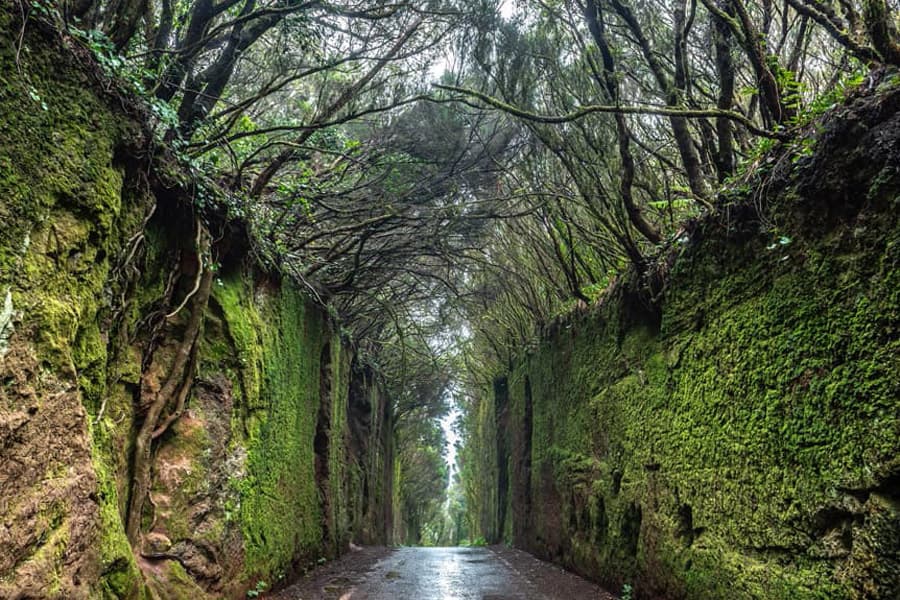 Viajar en autocaravana en Tenerife